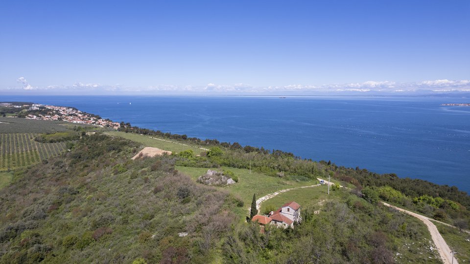 Exklusiver Verkauf!!! Ein einzigartiges Anwesen auf dem Hügel von St. Peter, mit einem 360-Grad-Blick auf das Meer, Slowenien, die Alpen, den Süden...